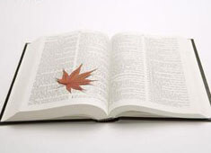 汉诺威逆转获胜，终结不胜走势